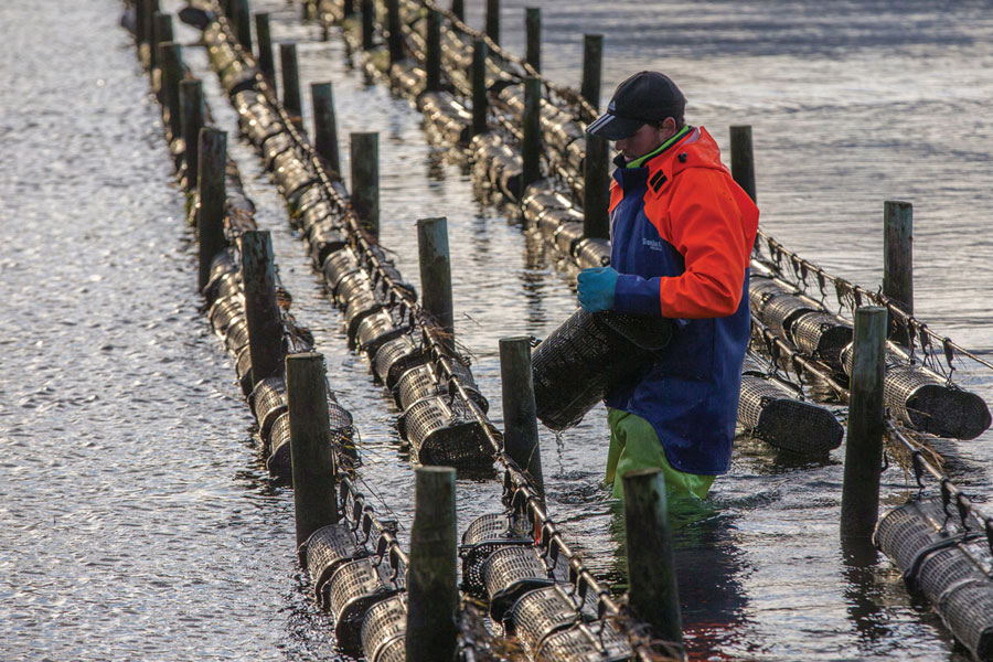 Image of aquaculturist