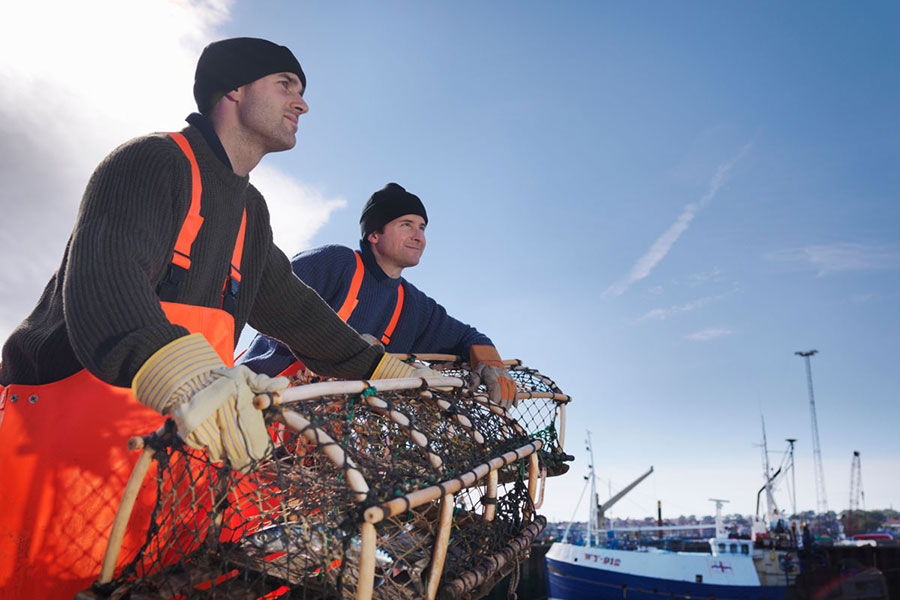 Image of fisher - commercial