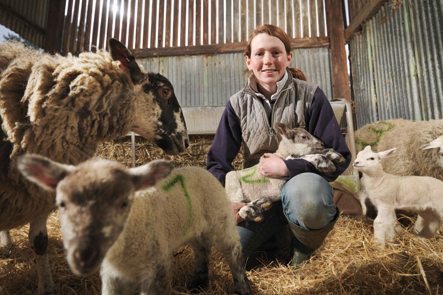 Image of primary producer - Animal