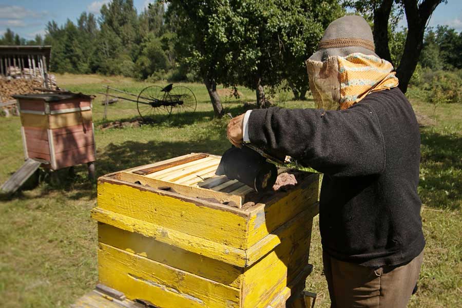 Image of beekeeper - individual